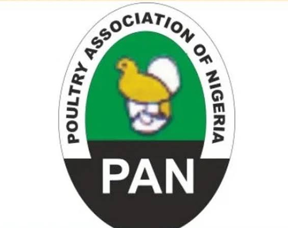 N5 Per Bird Levy: Oyo Poultry Association Sends SOS To Makinde N5 Per Bird Levy: Oyo Poultry Association Sends SOS To Makinde