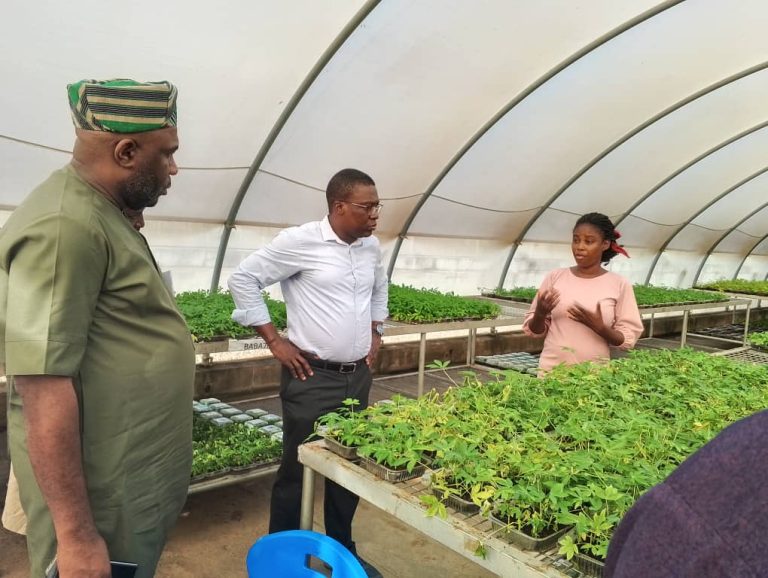 Agribusiness: OYSADA’S DG Debo Akande Receives Plateau Delegation On Cassava Production, Livestocks Farming 