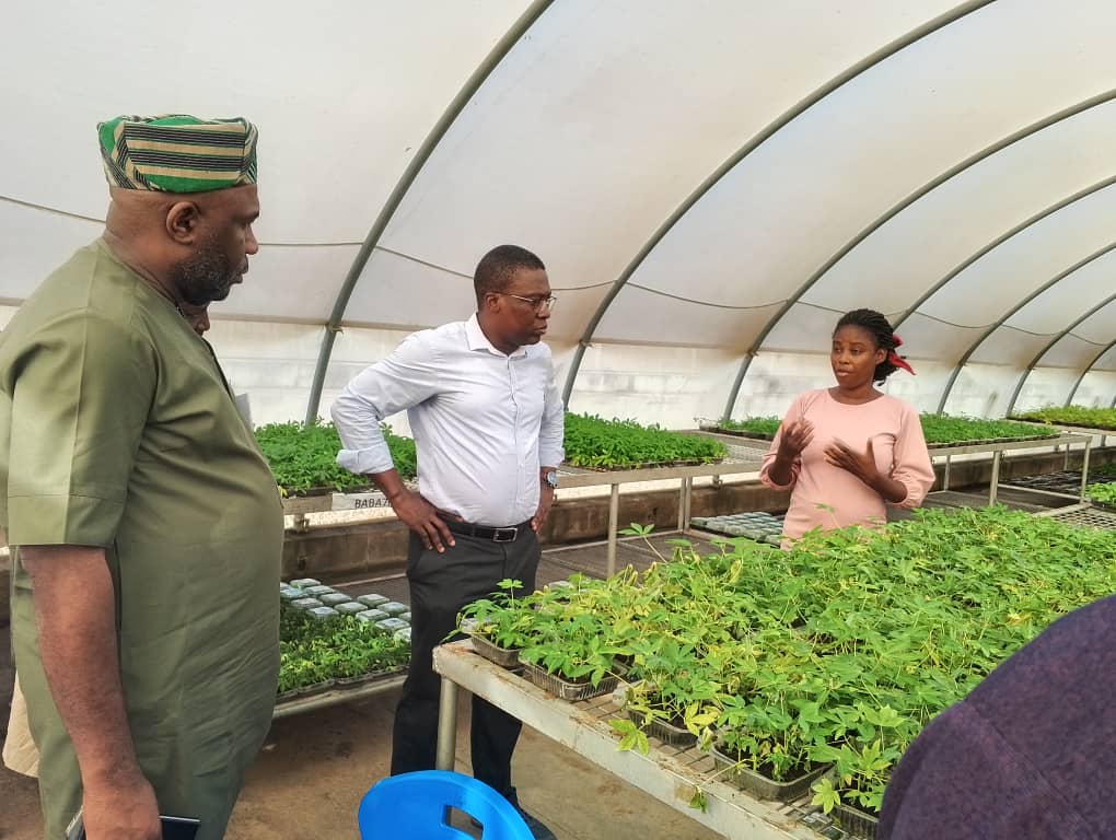 Agribusiness: OYSADA’S DG Debo Akande Receives Plateau Delegation On Cassava Production, Livestocks Farming Agribusiness: OYSADA’S DG Debo Akande Receives Plateau Delegation On Cassava Production, Livestocks Farming
