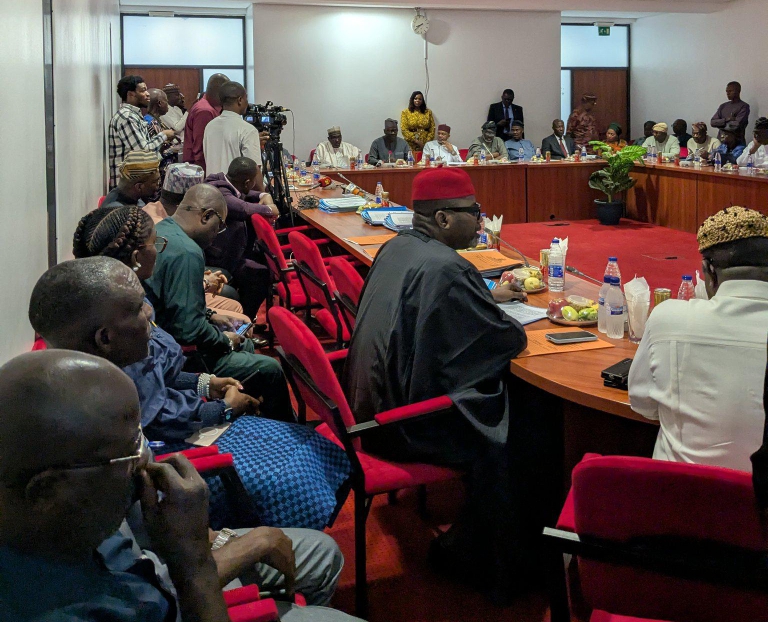 Senate Screens South-West Development Commission Nominees