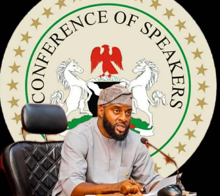 ‎Young, Bold And Reform-Driven, Ogundoyin’s Defining Legacy As Conference Chairman