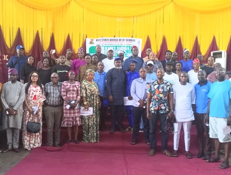 Single-Use Plastics Prohibition Bill: Oyo Assembly Assures Cleaner, Healthier Environment