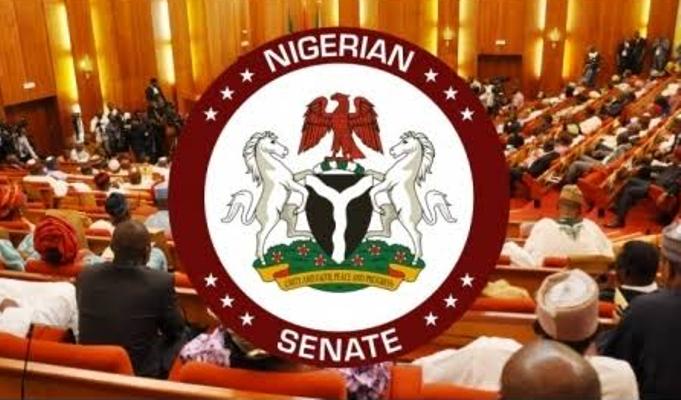UN Probe Call: Senate Reacts, Cautions Governor Makinde UN Probe Call: Senate Reacts, Cautions Governor Makinde