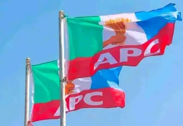 2027: APC Constitutes Campaign Council, Names Chairman, Vice, DG, Secretary 2027: APC Constitutes Campaign Council, Names Chairman, Vice, DG, Secretary