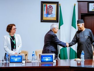 Nigeria IEA partnership