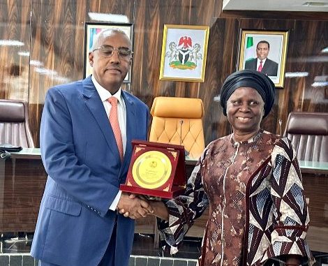 INEC AU electoral partnership