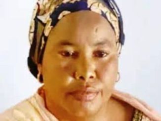 Borno court jails woman
